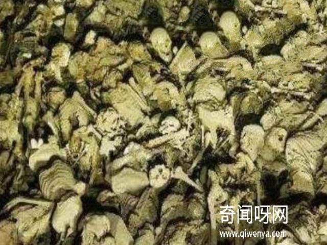 海拉尔万人坑灵异事件，男子挖坑惊扰万人坑冤魂(劳工冤魂索命)