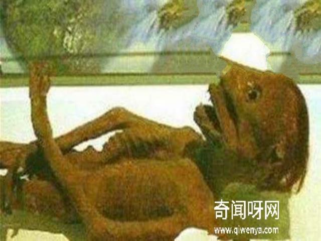 水猴子水鬼图片大全，水鬼拉人替死可投胎转世