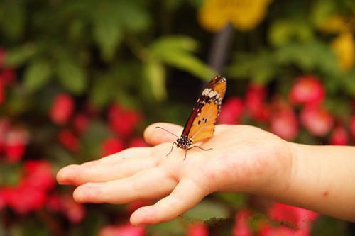 两世逐流小说（林泽森顾沉南宋婕）全文免费阅读_两世逐流最新章节小说免费阅读_笔趣阁