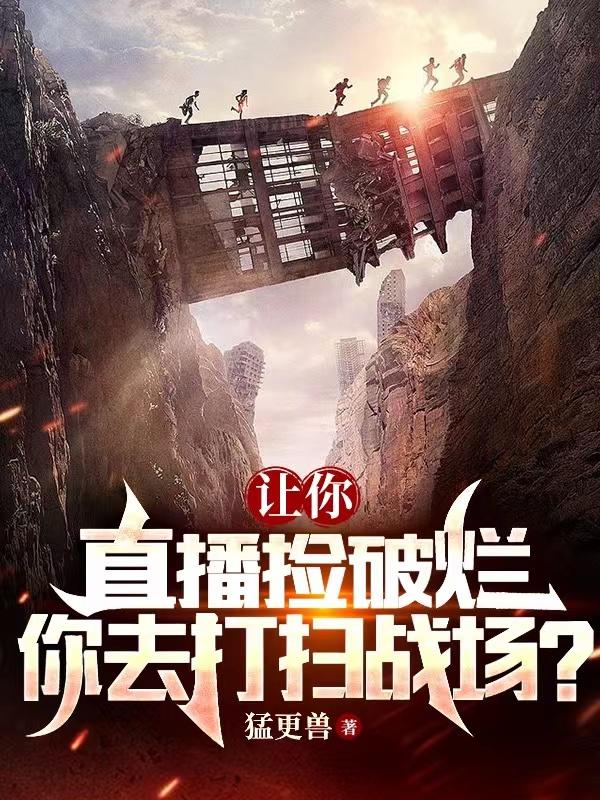 让你直播捡破烂，你去打扫战场？小说