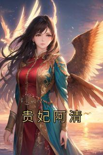 阿清顾年《贵妃阿清》小说完整版