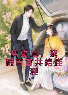 林奈顾域《离婚后，我跟首富共结连理》全章节免费阅读