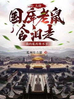 《大唐：国库老鼠含泪走，我的私库堆不下》完整版-李想云香儿在线全文阅读