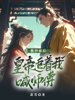 主角宋薇陆婉婷小说完整版-被抄家后，皇帝追着我喊师傅免费阅读全文