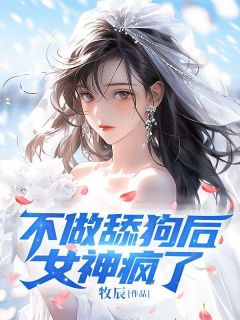 《不做舔狗后女神疯了》韩宁苏珊全章节目录免费阅读