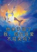 新书推荐《你亲手毁了我，现在说爱不可笑吗？》完整版小说-宋轻娓谢斯秦最