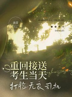 无弹窗小说重回接送考生当天，打脸无良司机 作者流萤