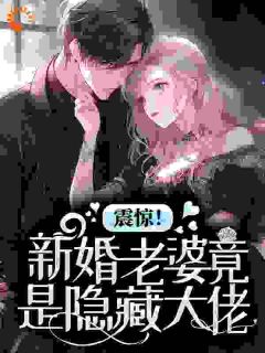 震惊！新婚老婆竟是隐藏大佬小说(完结版)-宁苒霍聿城在线阅读