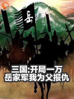 全网首发完整小说三国：开局一万岳家军我为父报仇主角褚云文聘在线阅读