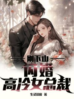 《刚下山，闪婚高冷女总裁》小说免费阅读 叶昊苏冰岚大结局完整版