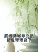 朕的探花郎又双叒叕带球跑了小说的书名是什么