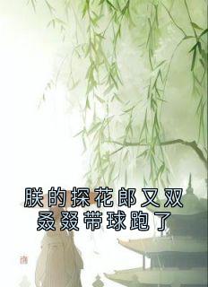 朕的探花郎又双叒叕带球跑了小说的书名是什么