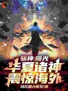 主角是苏辰叶梵的小说叫什么《斩神：曝光华夏诸神，震惊海外！》免费全文阅读