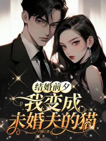 结婚前夕，我变成未婚夫的猫(新书)小说_沈宜舒橪阅读